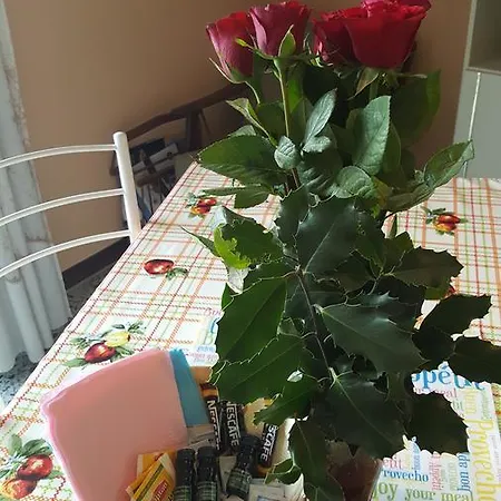 Anly كانيرو ريفييرا