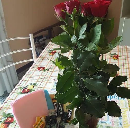 Anly 카네로 리비에라